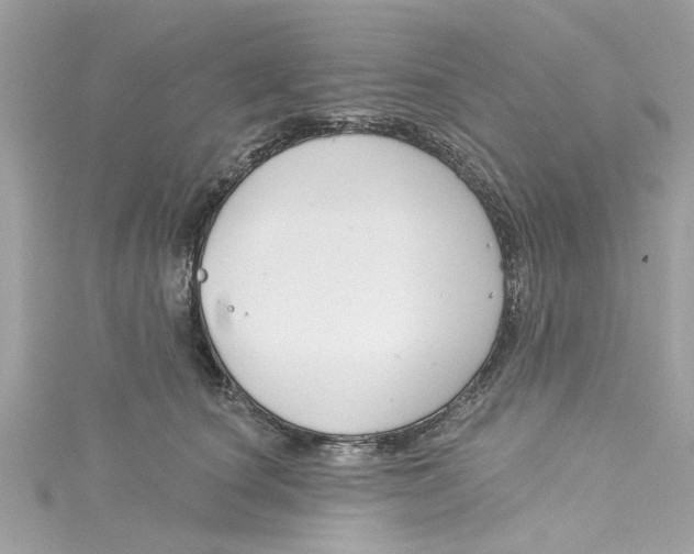 X0000115050660200911161549