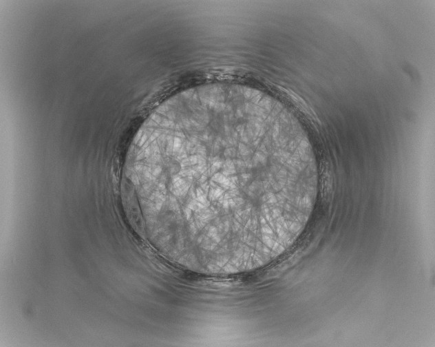 X0000115050661200911161549