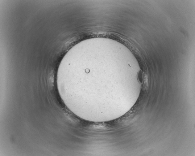 X0000115050668200911161549