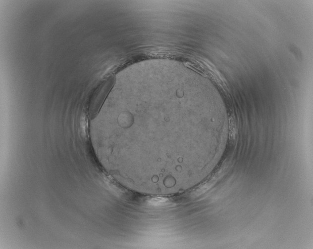 X0000115050669200911161549