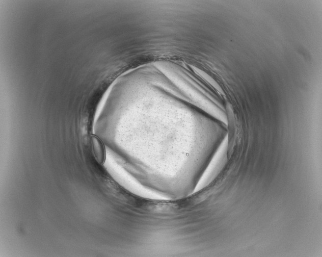 X0000115050670200911161549