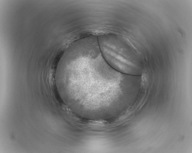 X0000115050671200911161549