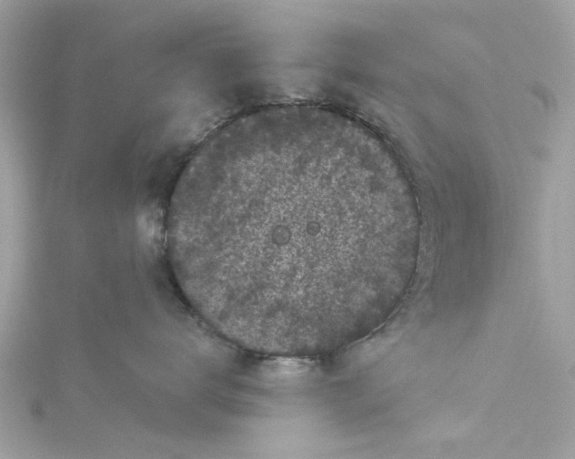 X0000115050672200911161549