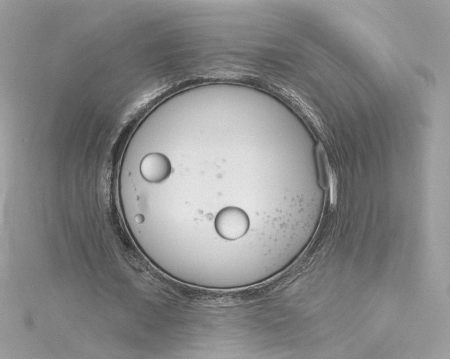 X0000115050675200911161548