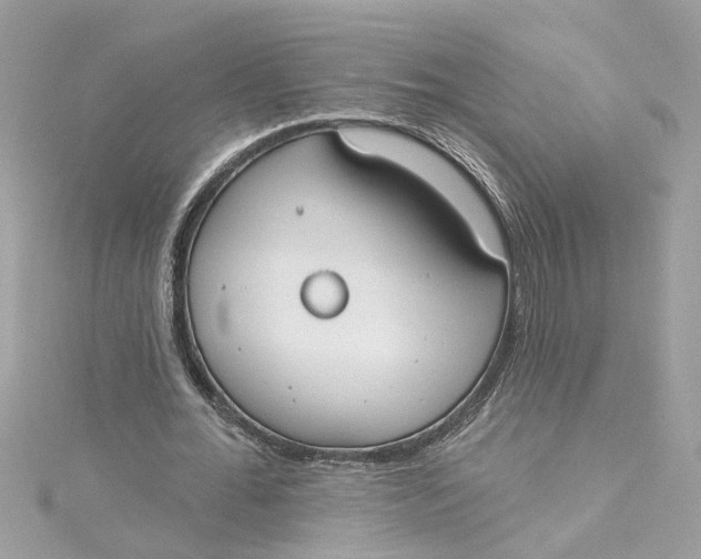 X0000115050676200911161548