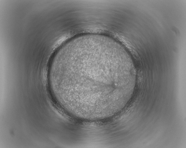 X0000115050679200911161548