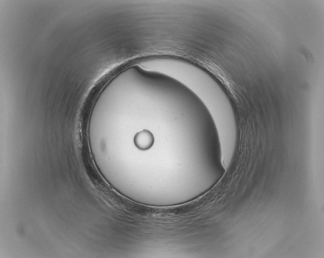 X0000115050680200911161548