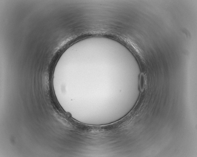 X0000115050684200911161548