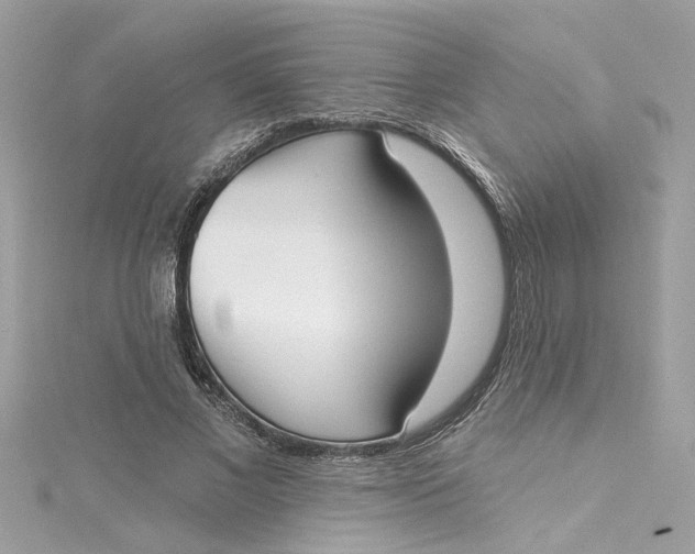 X0000115050685200911161548