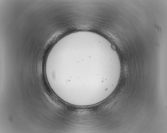 X0000115050686200911161548