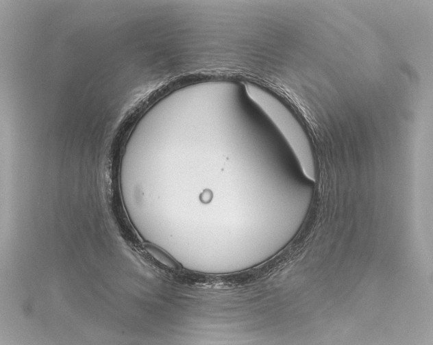 X0000115050688200911161548