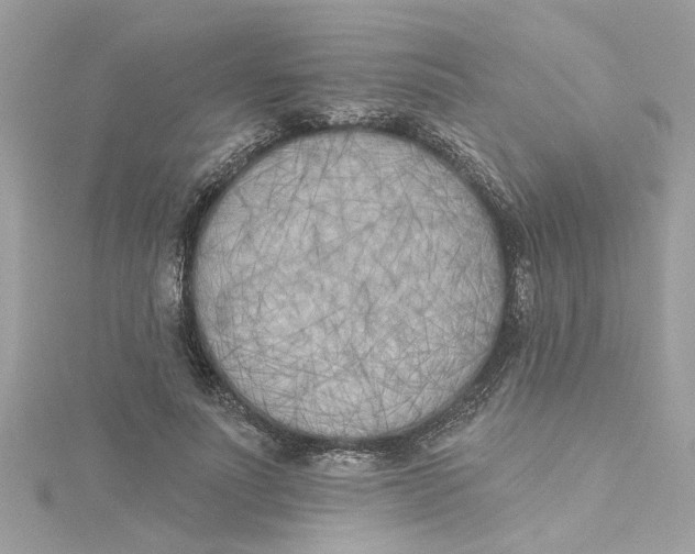 X0000115050691200911161548