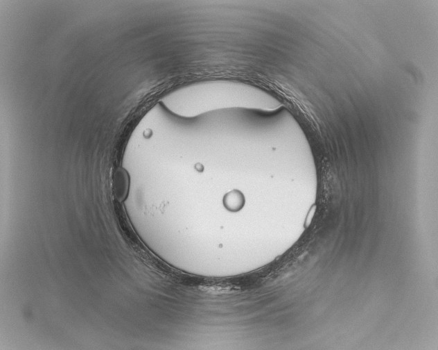 X0000115050693200911161548