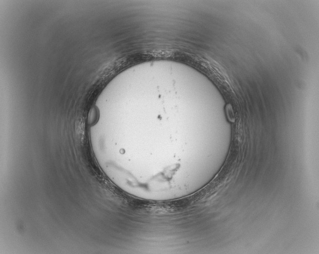 X0000115050697200911161548