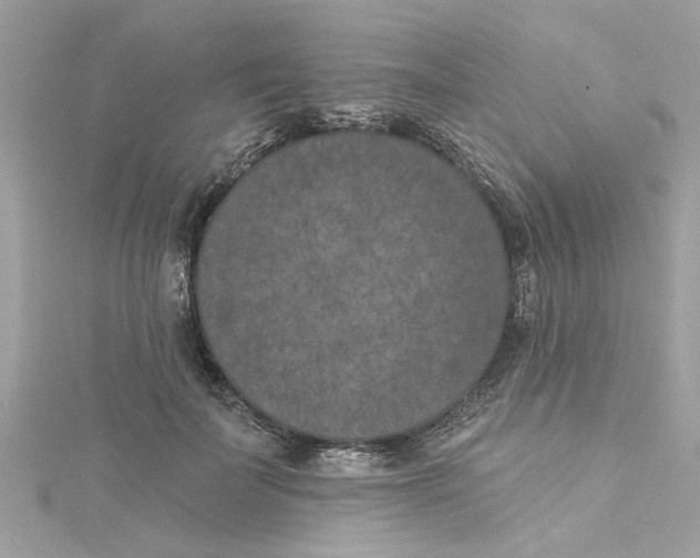 X0000115050699200911161548