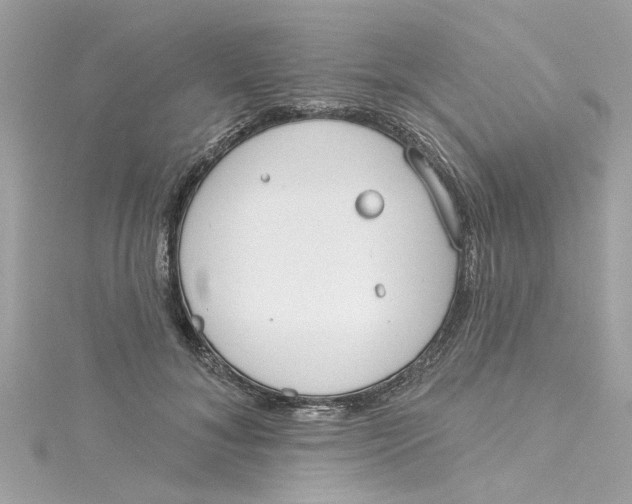 X0000115050700200911161548