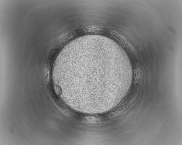 X0000115050703200911161548