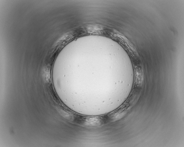 X0000115050705200911161548