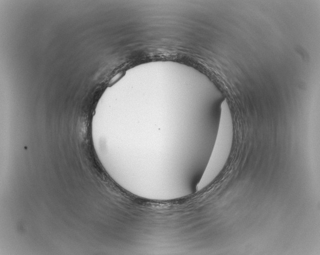 X0000115050709200911161548