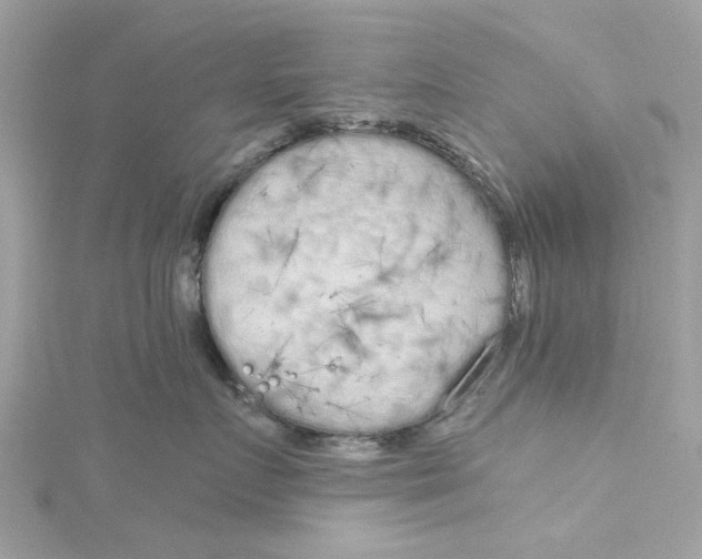 X0000115050719200911161548