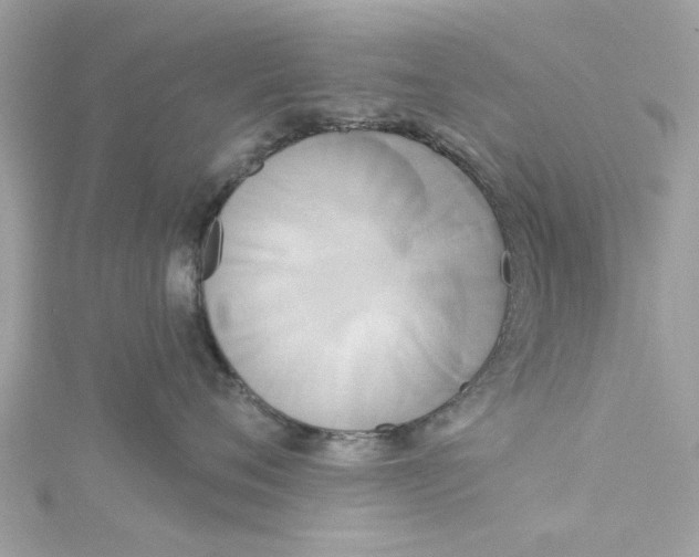 X0000115050720200911161548