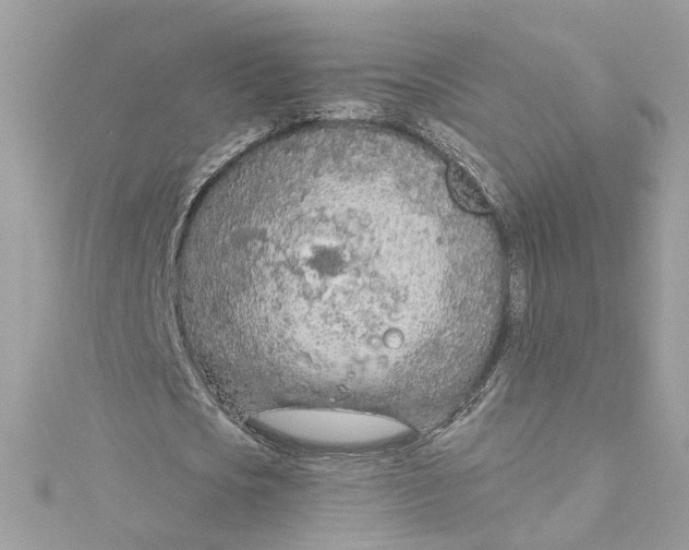 X0000115050721200911161547