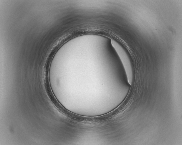 X0000115050725200911161547