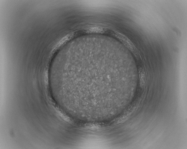 X0000115050729200911161547