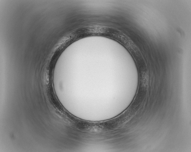 X0000115050731200911161547