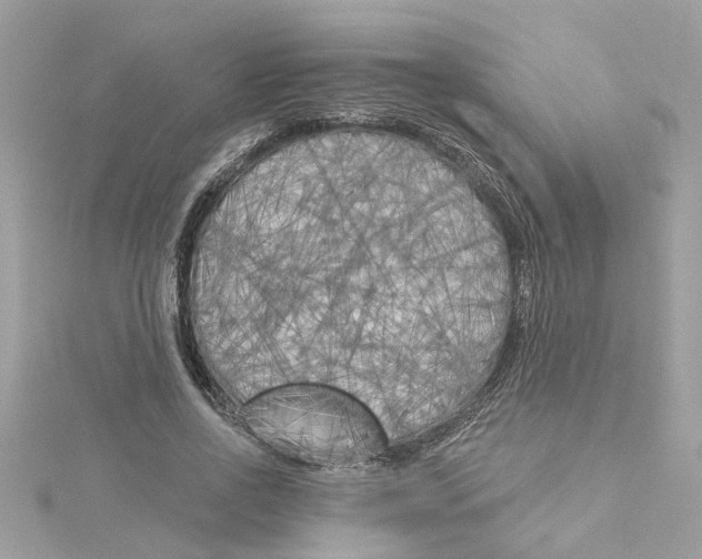 X0000115050734200911161547