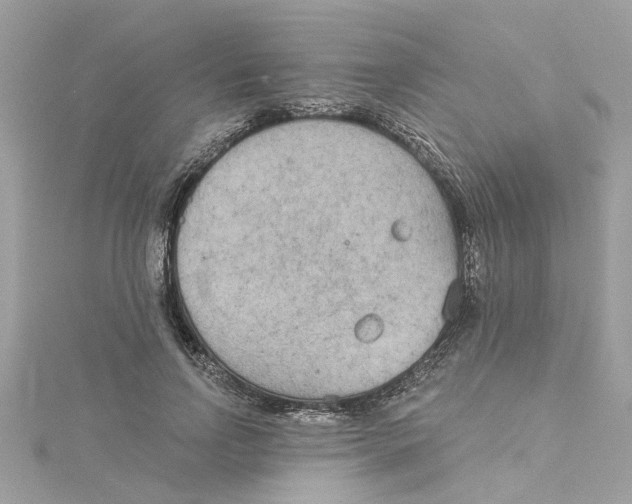 X0000115050742200911161547