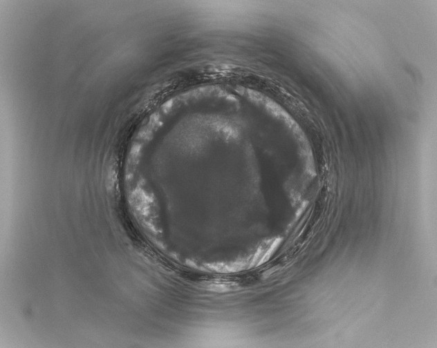 X0000115050754200911161547