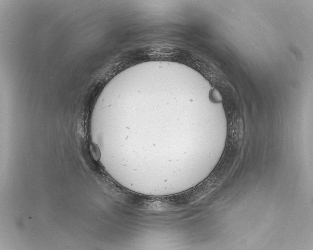 X0000115050755200911161547