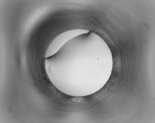 X0000115050762200911161548