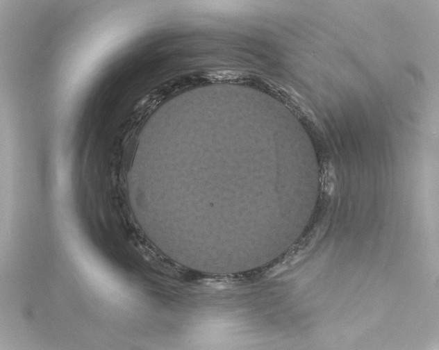 X0000115050763200911161548