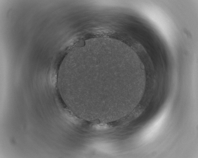 X0000115050767200911161548