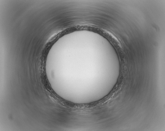 X0000115050775200911161547