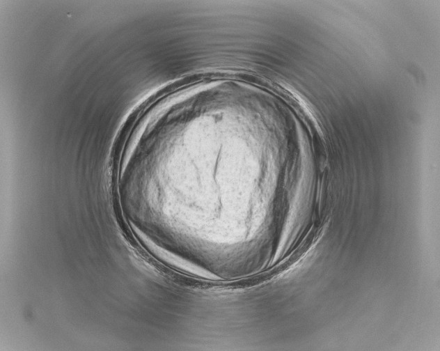 X0000115050779200911161547