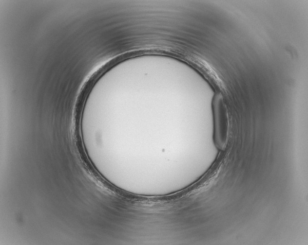 X0000115050780200911161547