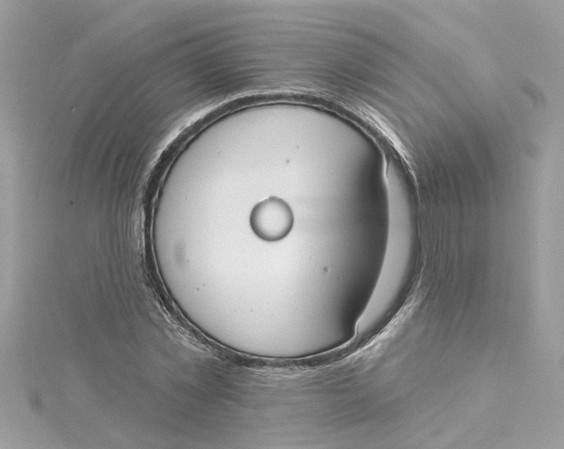 X0000115050781200911161547