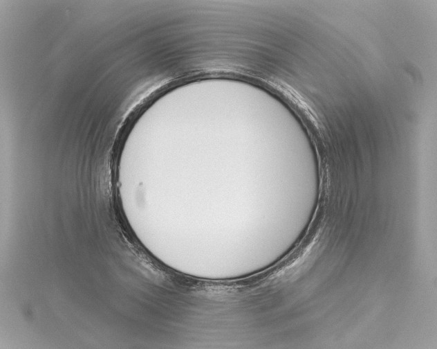 X0000115050782200911161547