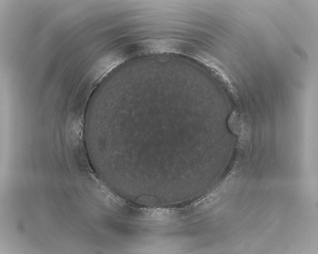 X0000115050785200911161547