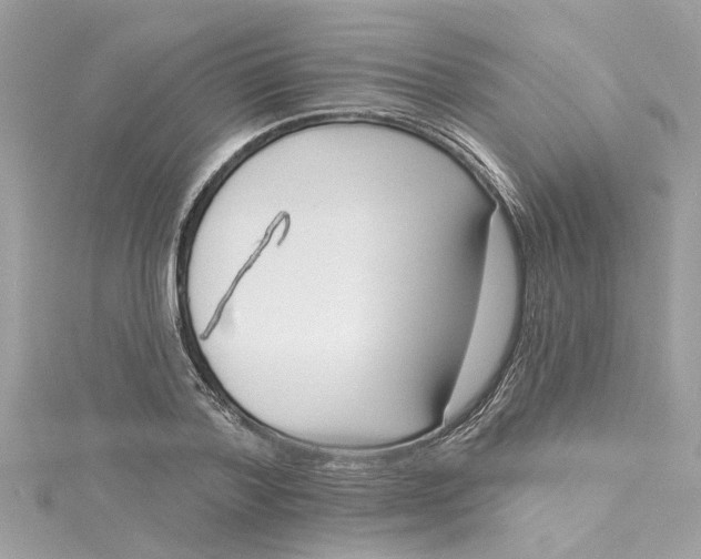 X0000115050788200911161547