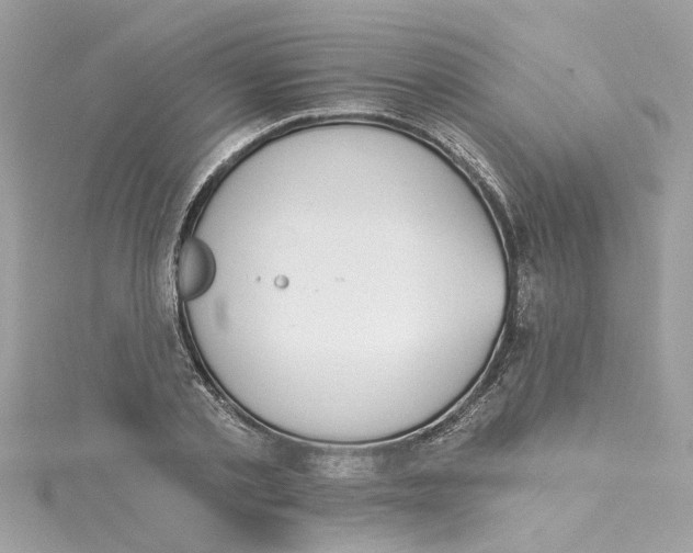 X0000115050789200911161547