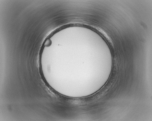 X0000115050791200911161547