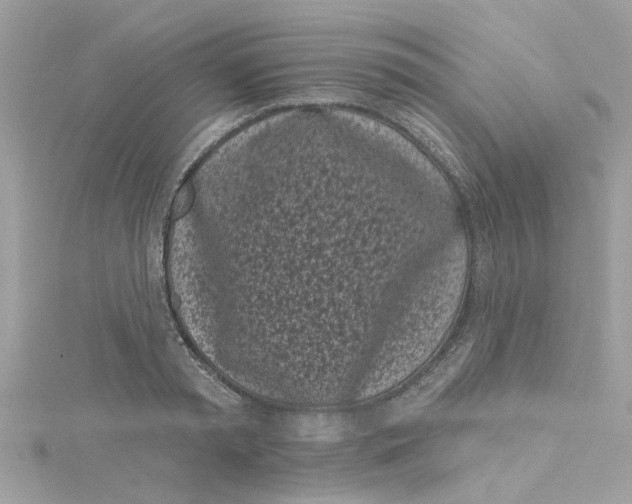 X0000115050797200911161547