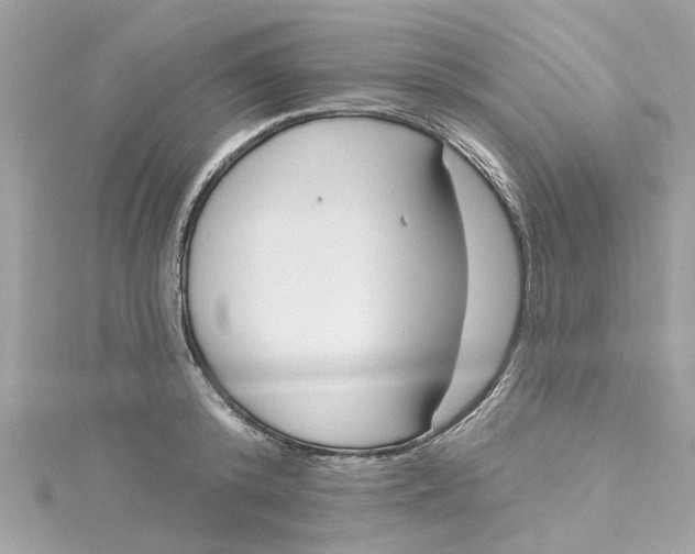 X0000115050800200911161547