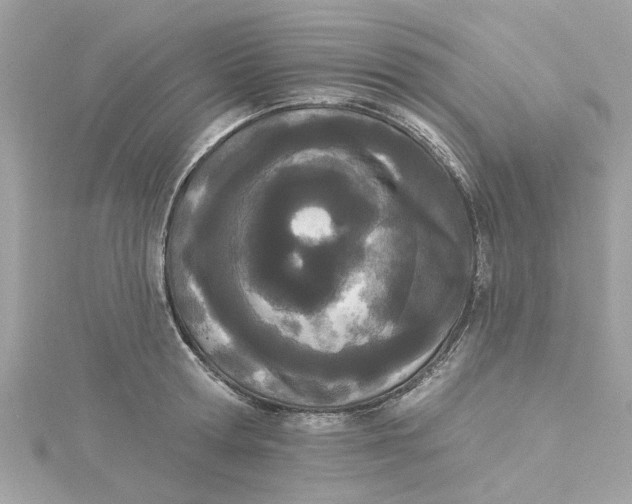 X0000115050802200911161547