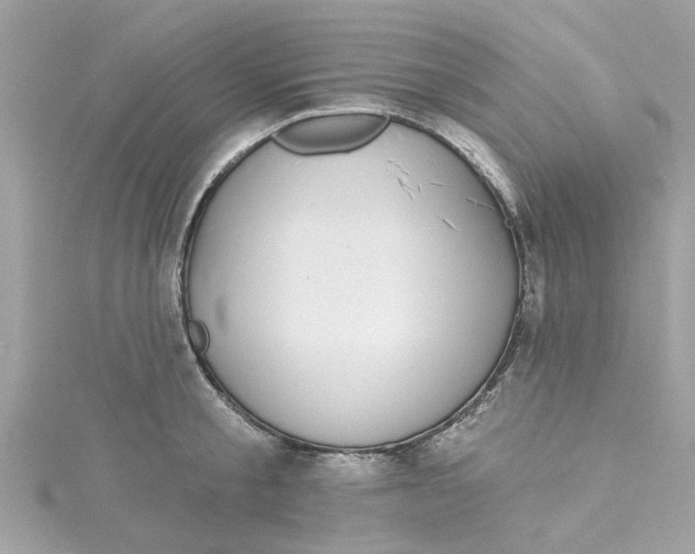 X0000115050805200911161547