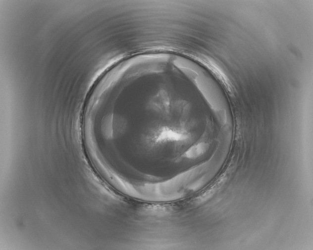 X0000115050806200911161547